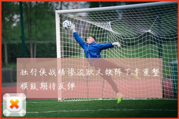 独行侠战绩惨淡欧文缺阵下季重整旗鼓期待反弹