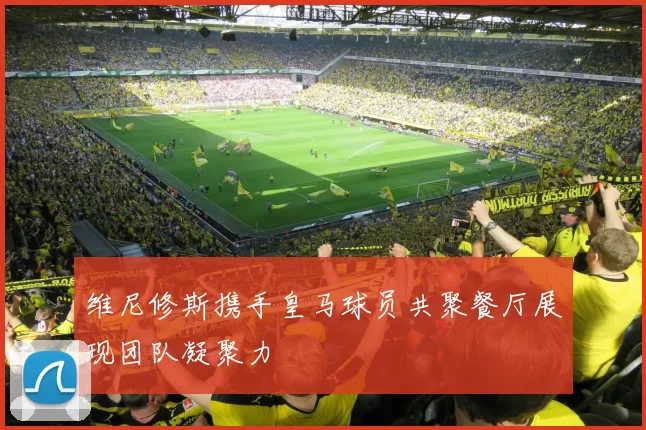 维尼修斯携手皇马球员共聚餐厅展现团队凝聚力