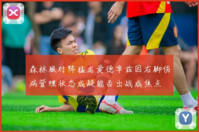 森林狼对阵猛龙爱德华兹因右脚伤病管理状态成疑能否出战成焦点